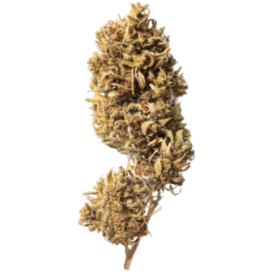 CBN Old Weed