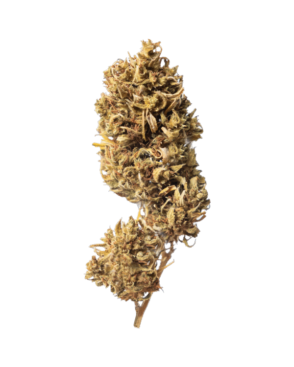 CBN Old Weed