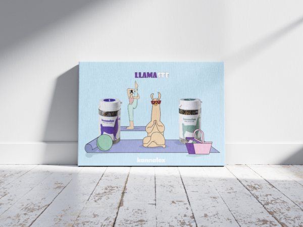 llamaste