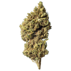 Cookie CBD