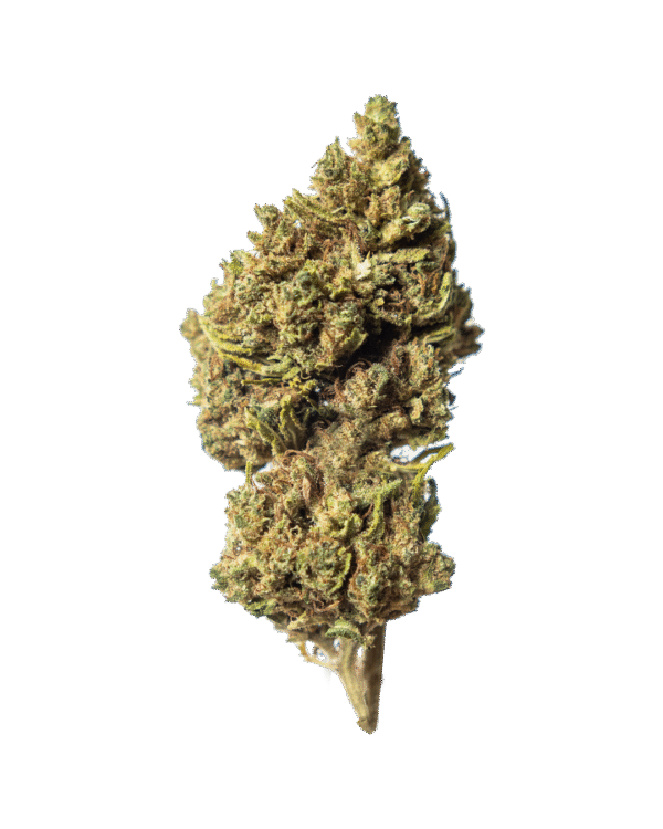 Cookie CBD
