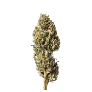 Grape CBD