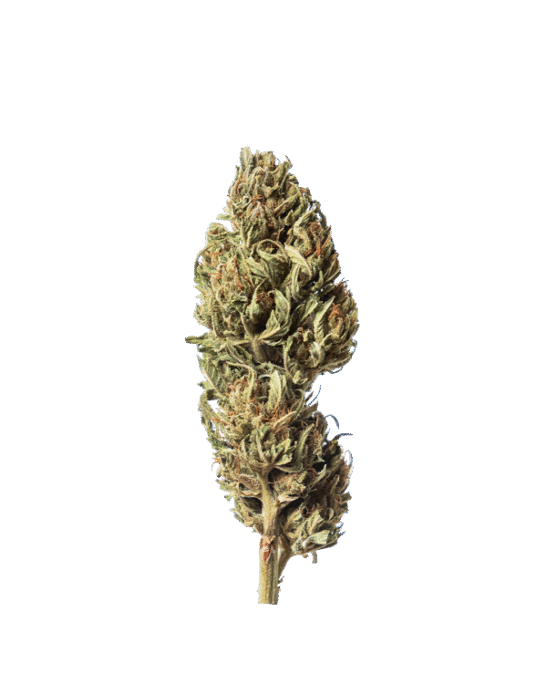 Grape CBD